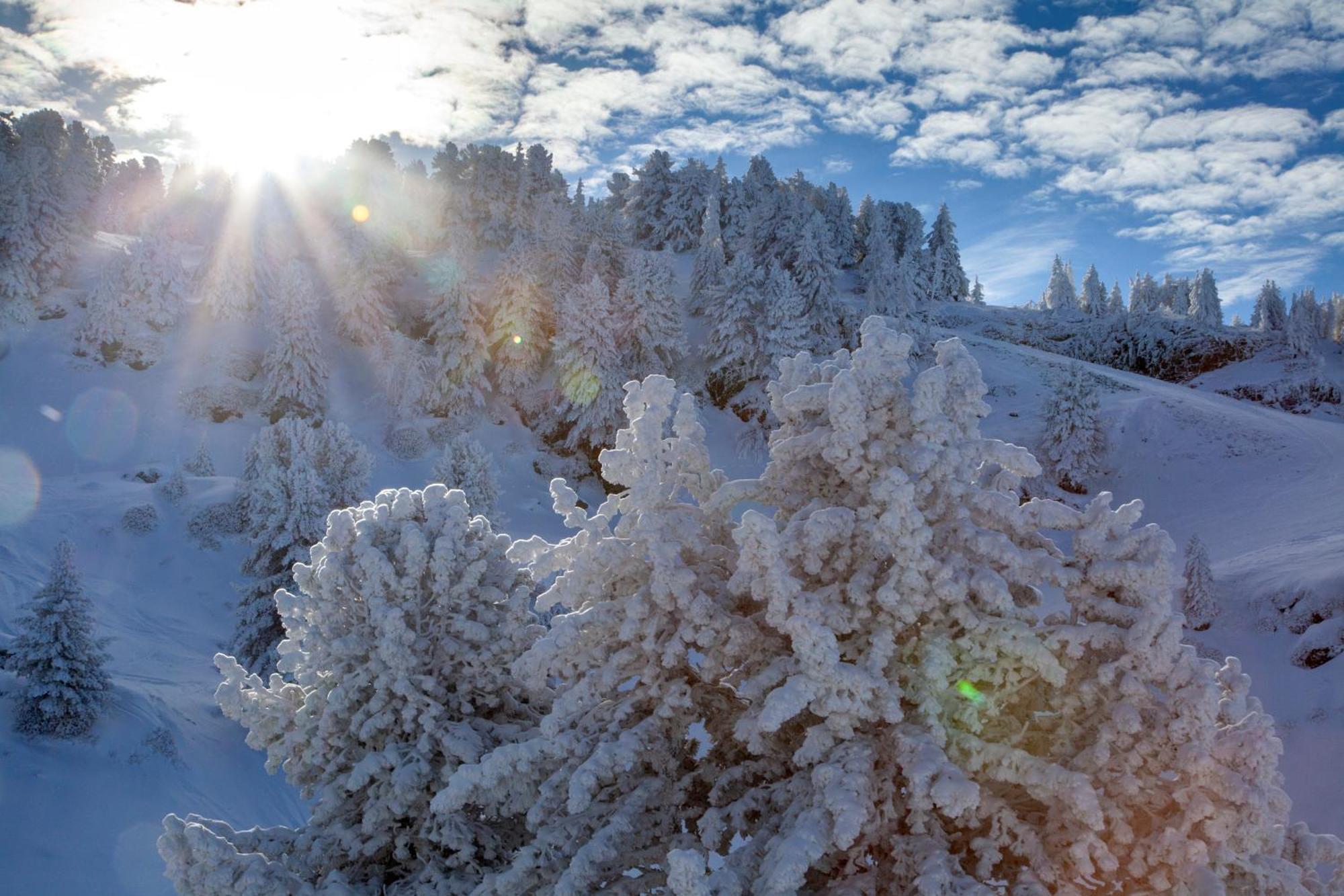 Studio, 2 Personnes, Les Balcons De Recoin Chamrousse Bagian luar foto
